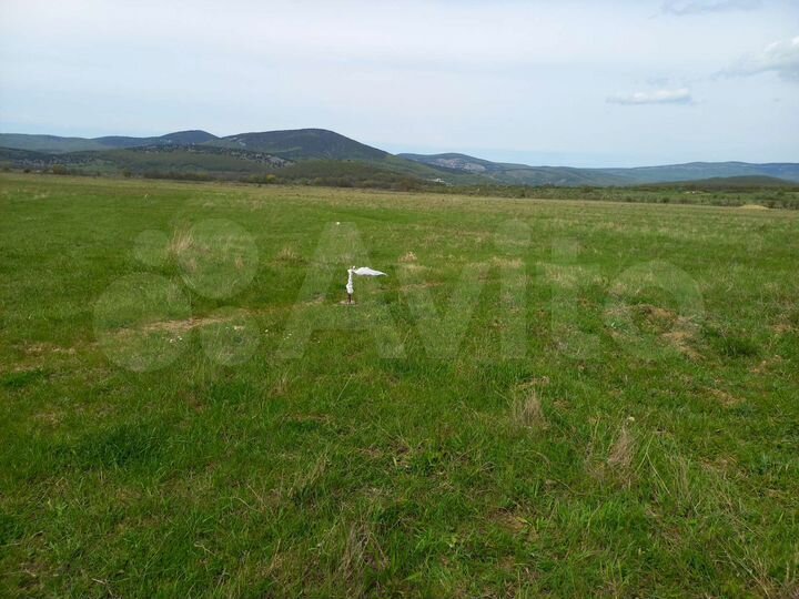 Участок 1,7 сот. (СНТ, ДНП)