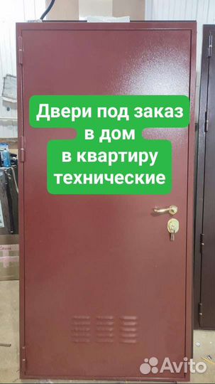 Дверь входная металлическая в дом, квартиру