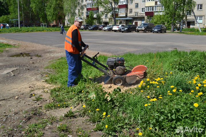 Обрезка кустов и деревьев