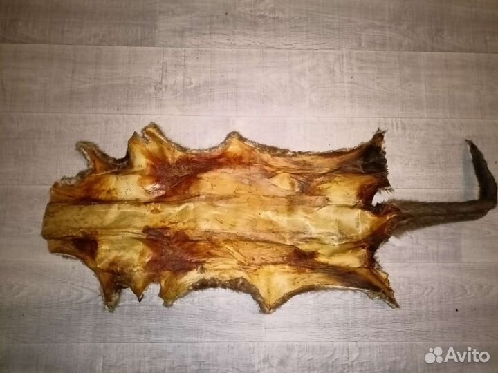 Шкура выдры