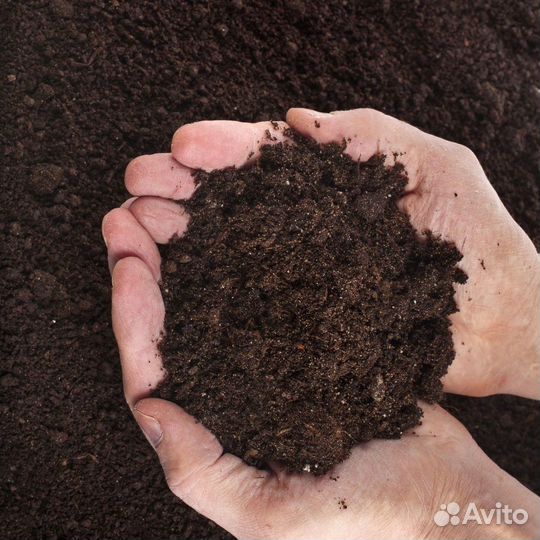 Торф низинный