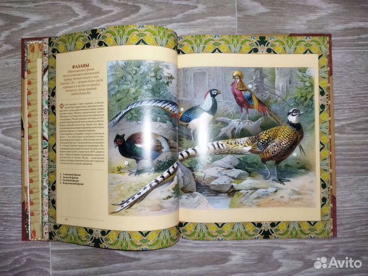 Детские книги новые