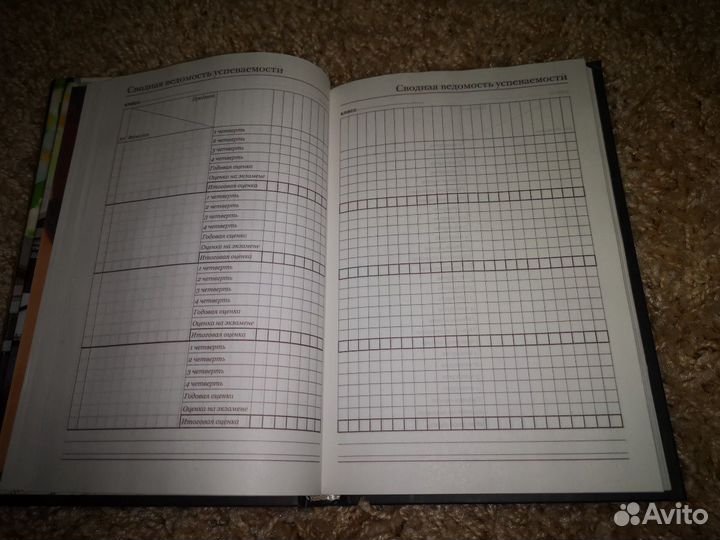 Ежедневник учителя