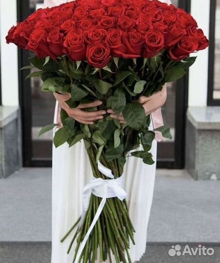 Высокие розы Гигантские розы Доставка цветов