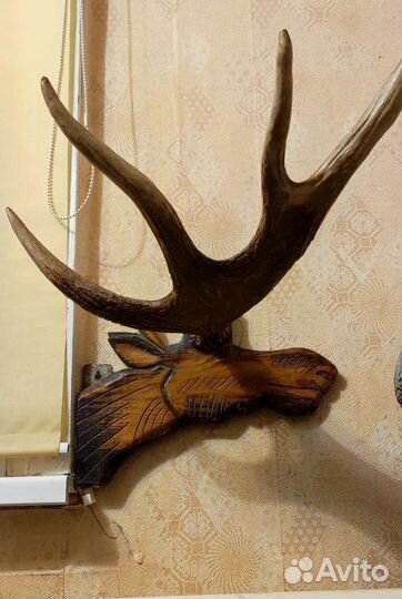 Лосиные рога