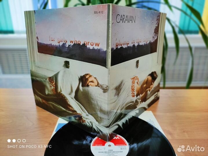 Виниловые пластинки Caravan