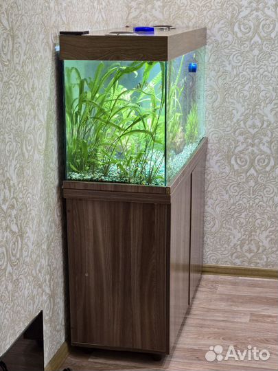 Аквариум с Рыбками полный комплект