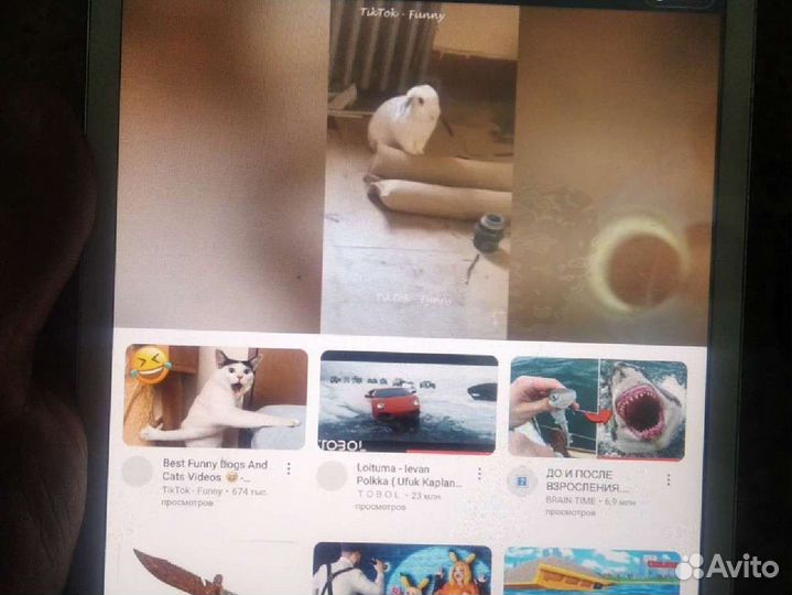 iPad
