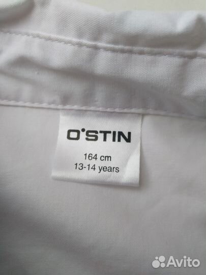 Школьная рубашка/ блузка белая для девочки Ostin