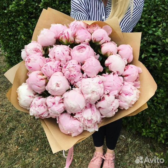 Пионы, цветы от производителя. Гарантия. 24/7