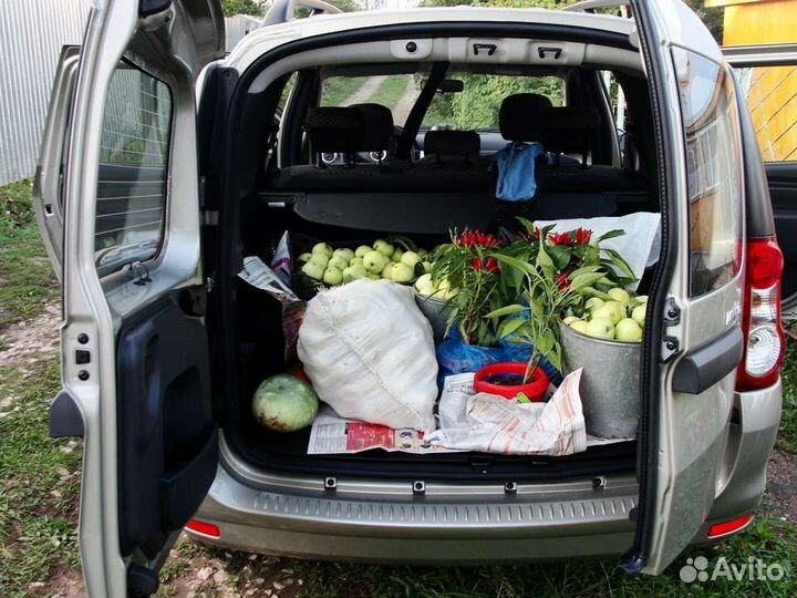 Грузоверевозки/Пассажирские LADA Largus Ларгус