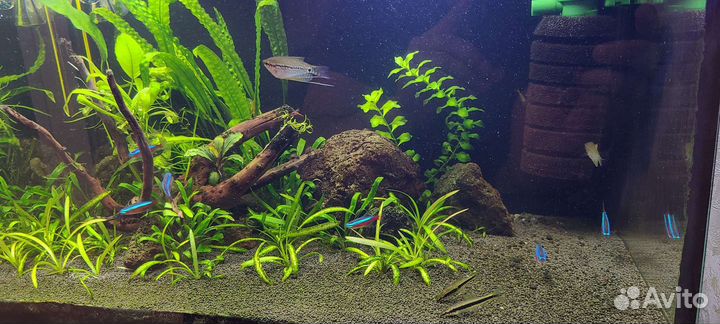 Аквариум 45 литров