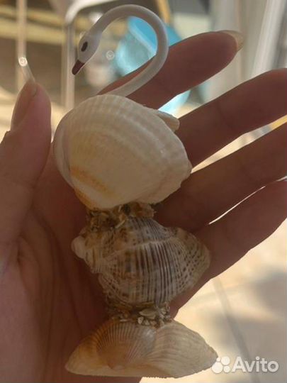 Сувениры из ракушек