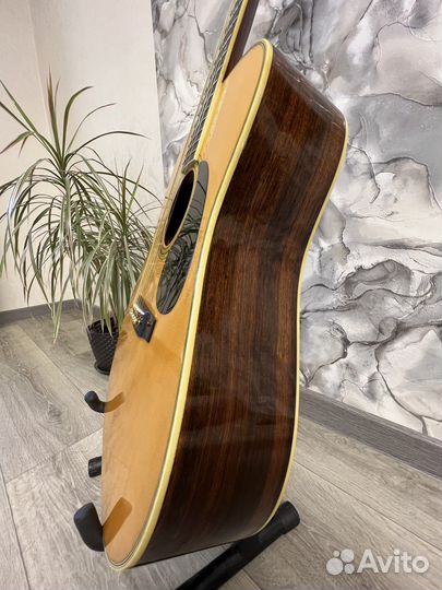 Гитара акустическая Morris W25 made in Japan