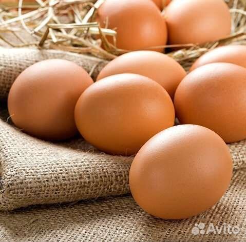 Яйцо куриное