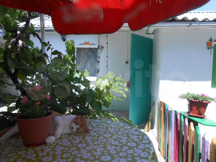 Комната 16 м² в 2-к., 1/1 эт.