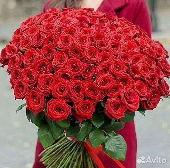 51 Роза, Букеты Цветы Розы 25 101 501 1001