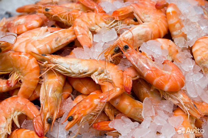 Купить прибыльный рыбный магазин под ключ