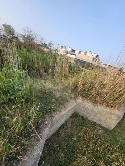 Участок 6 сот. (ИЖС)