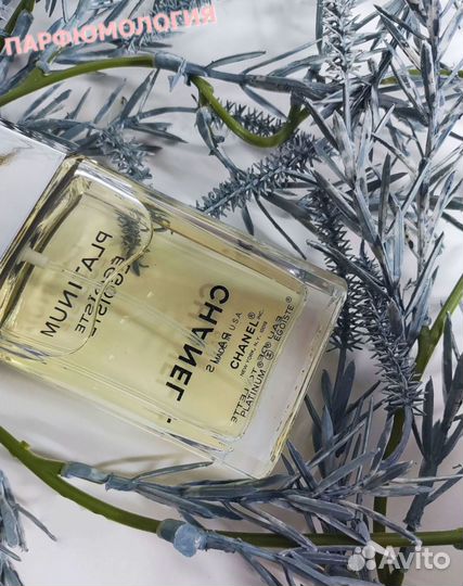 Chanel Egoiste platinum