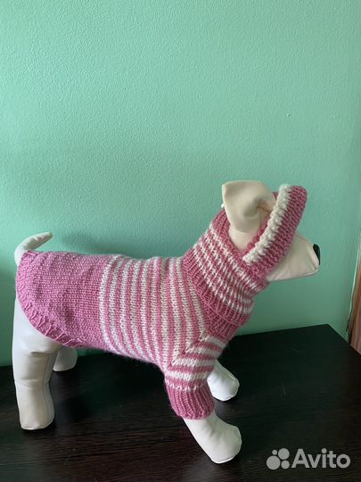 Одежда для маленьких собак