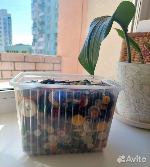 Советские пуговицы