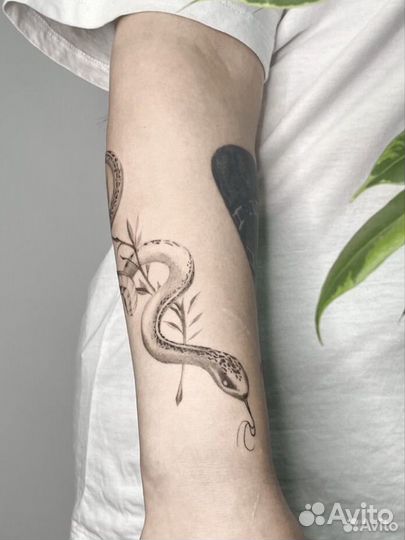 Татуировка, Модель на тату, Тату за расходники