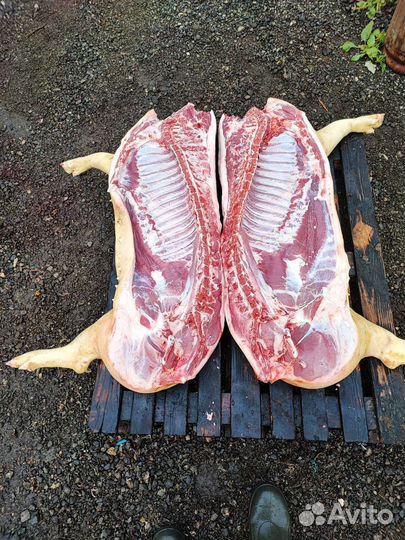 Мясо свинина домашняя