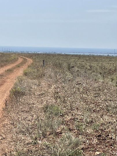 Участок 3,72 га (СНТ, ДНП)