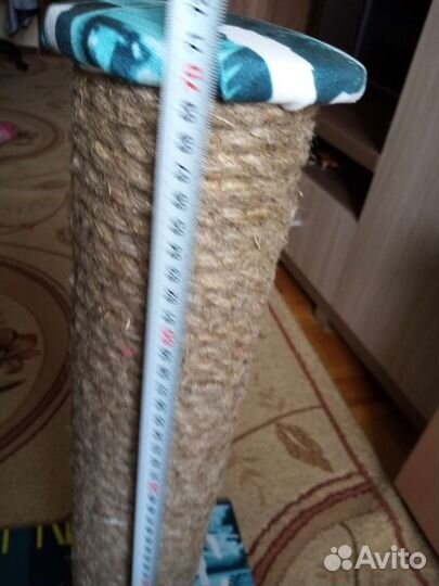 Когтеточка