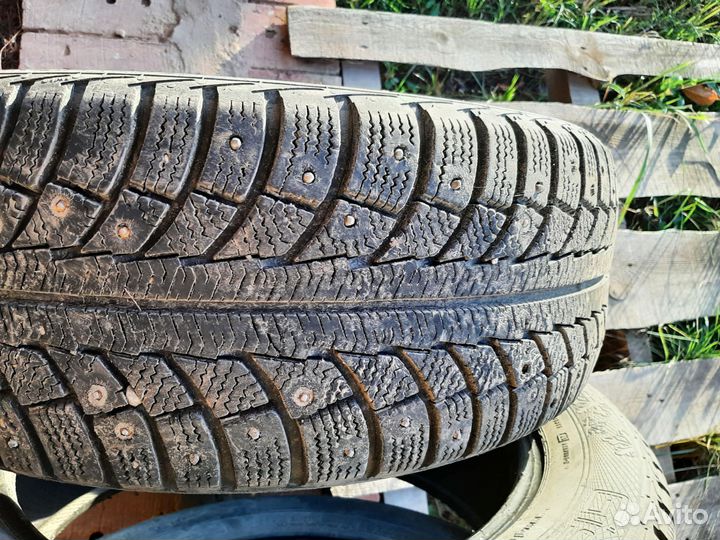 Gislaved Nord Frost 5 205/55 R16