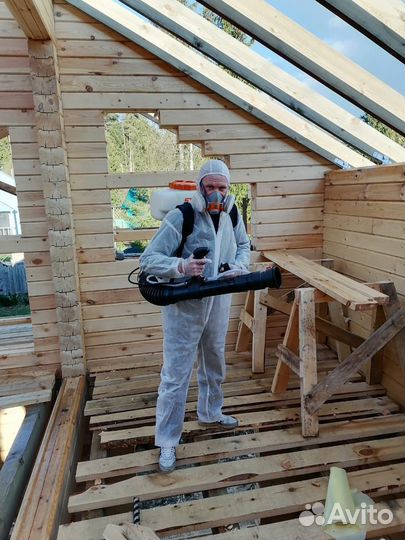 Дезинсекция от насекомых