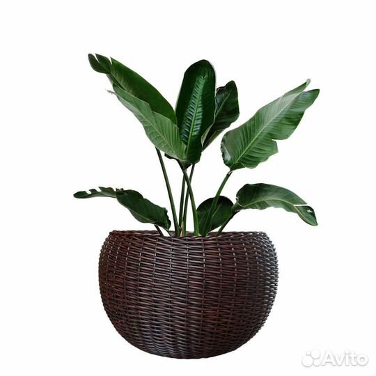 Кашпо из ротанга, 40 литров