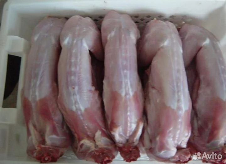 Мясо кролика