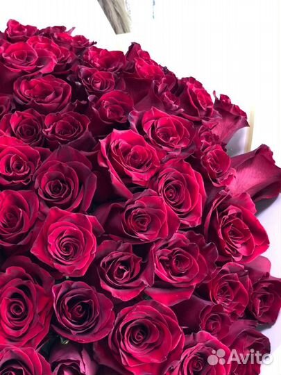 101 свежая алая роза, доставка в Томске от 1 часа