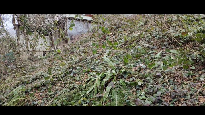 Участок 5,2 сот. (СНТ, ДНП)