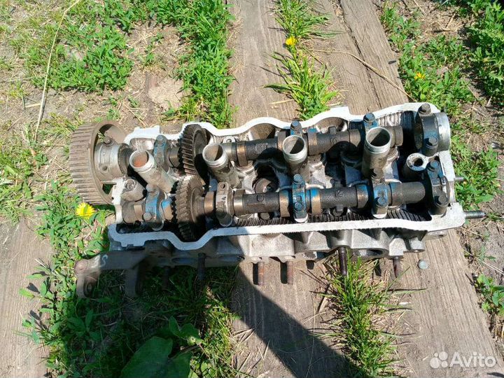 Голова от калдины