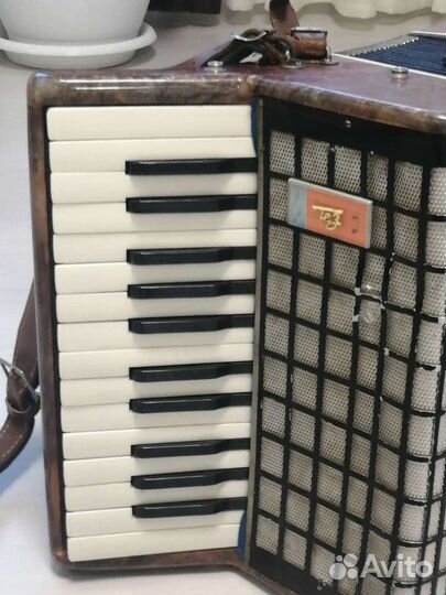 Аккордеон для начальной школы