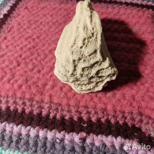 Кусок коралла