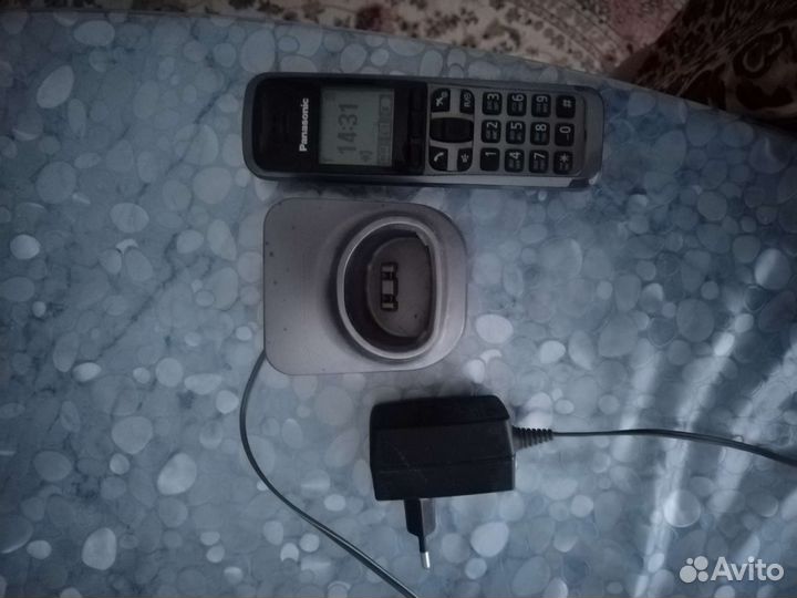 Panasonic