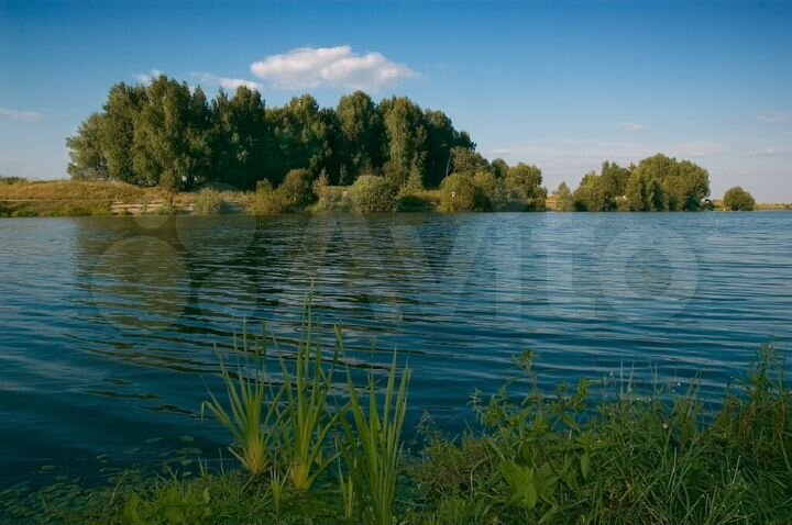 Участок 30 сот. (СНТ, ДНП)