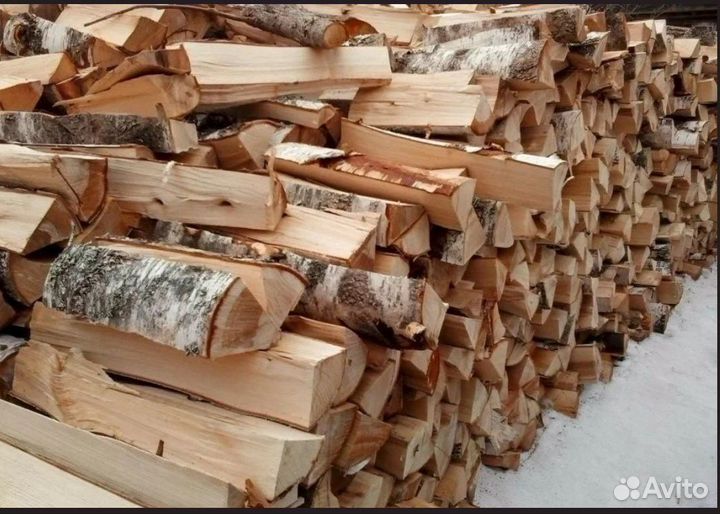 Дрова береза