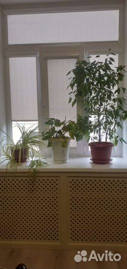 Рулонные шторы