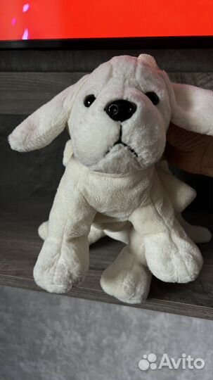 Заяц, собачка-сумка