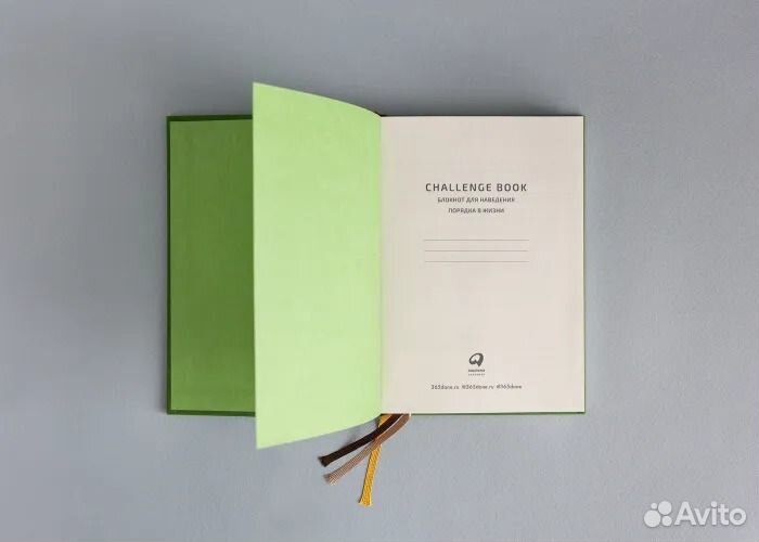Новый дневник Challenge Book Вари Веденеевой