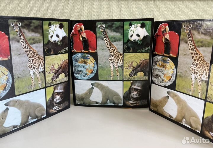 Энциклопедия. В мире дикой природы