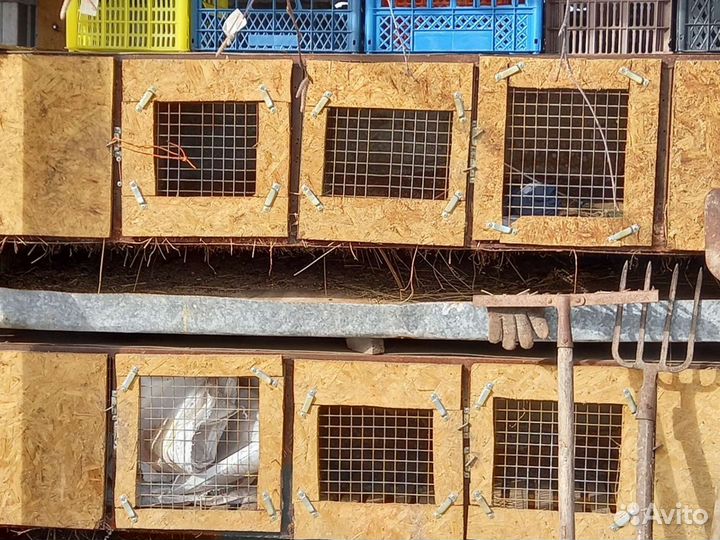 Клетка для кролика,кур