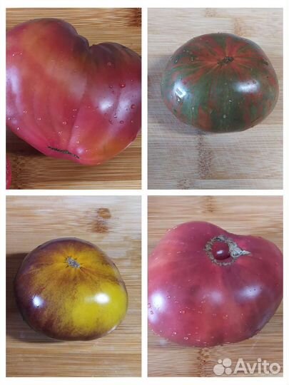 Семена помидор