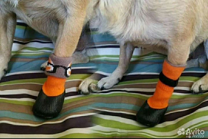 Собакам одежда, шапки, шлейки,миски