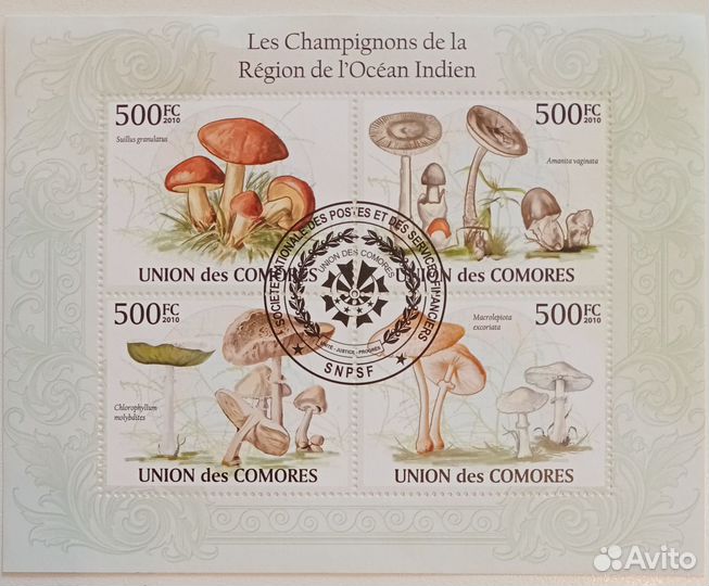 Марки Грибы все вместе